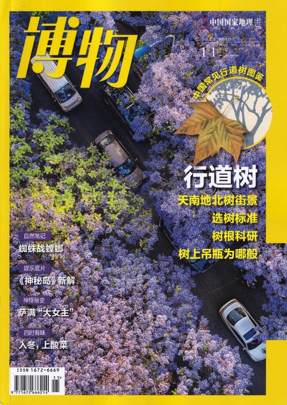 【独家珍藏】博物2020-2021精华版PDF，一文尽览，无冗余内容！