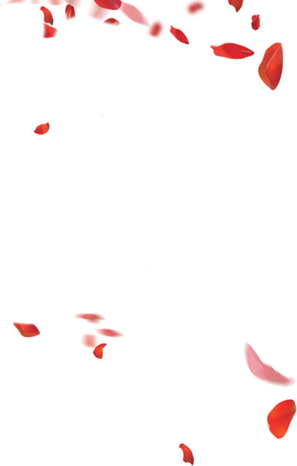 红色花瓣PNG透明素材，高清漂浮元素设计下载