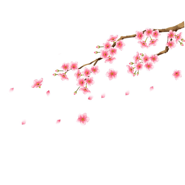 梅花装饰图案，高清PNG透明图片，优雅漂浮花瓣设计素材下载