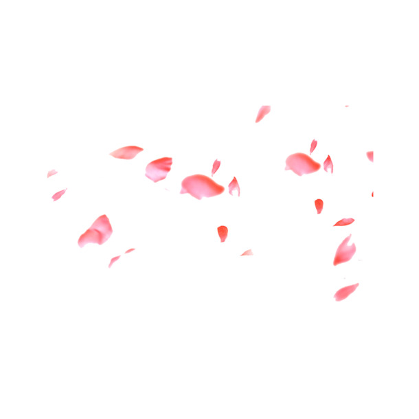 唯美粉色花瓣素材，高清PNG透明图片，漂浮元素花瓣PSD设计素材下载