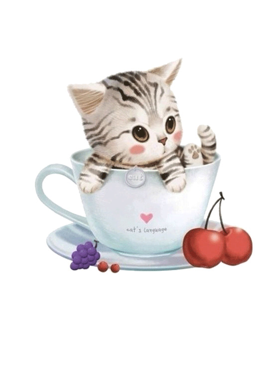 卡通萌猫PNG透明图，手绘卡通元素PSD素材下载