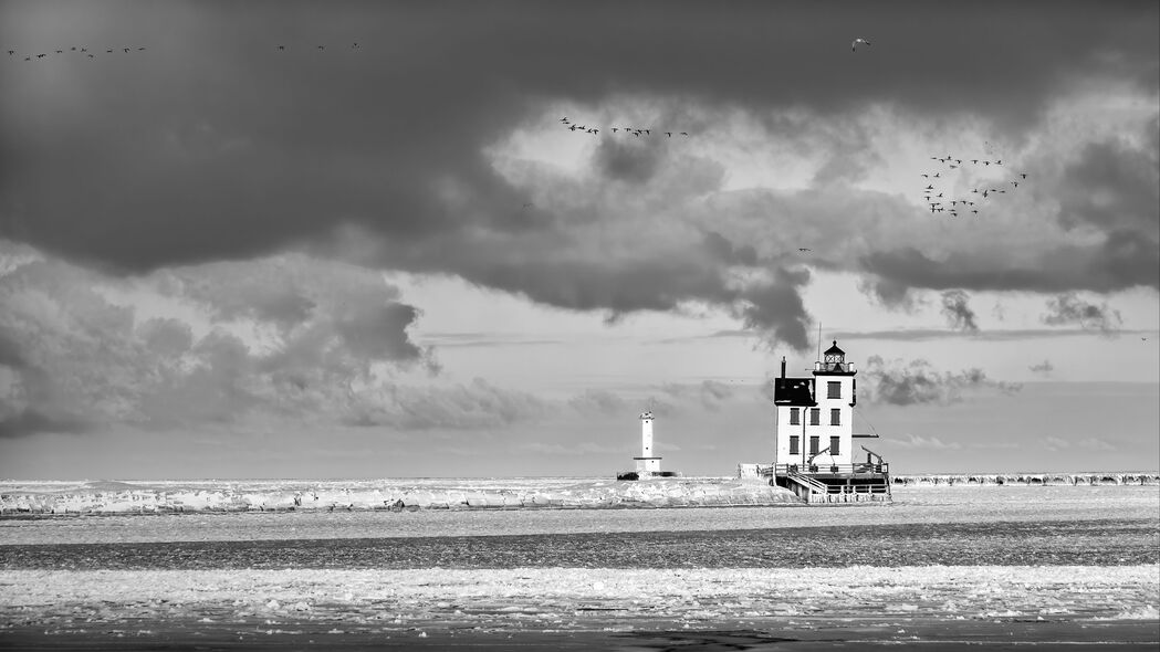 灯塔海岸鸟类黑白4K高清壁纸，大海与天空交融的3840x2160极致背景