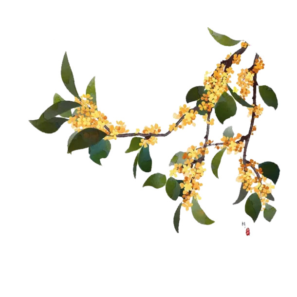 十里桂花，精选高清PNG透明图片与PSD设计素材，装饰元素一站下载