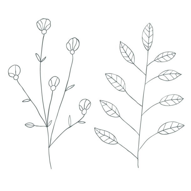 手绘花草PNG透明图片，高清装饰元素花纹设计素材下载