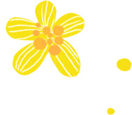 创意黄花海报PNG透明图，漂浮元素设计素材高清下载
