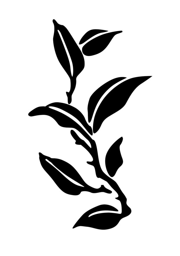 黑白茶叶树枝素材，高清PNG透明图片，免抠元素图标，设计素材下载