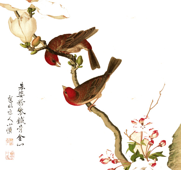 中国风手绘花鸟PNG透明图片，高清装饰边框PSD素材免费下载