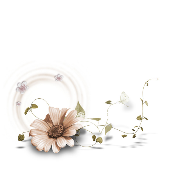 鲜花相框PNG透明图，高清装饰元素，植物设计素材免费下载