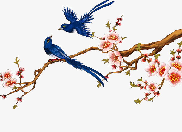 梅花树枝喜鹊PNG透明图，手绘卡通元素，高清下载