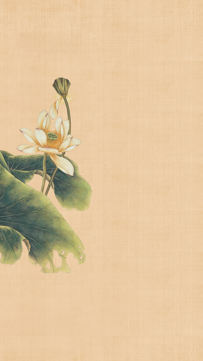中国风荷花工笔画H5背景，复古高清JPG素材下载
