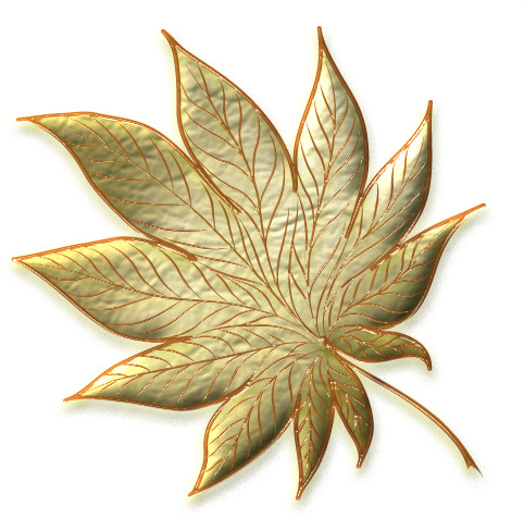 手绘树叶PNG透明图，高清漂浮叶子设计素材，免费下载