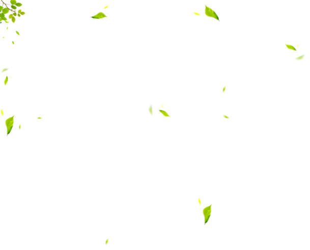 【高清PNG】飘浮绿叶透明图片，漂浮元素叶子设计素材，免费下载