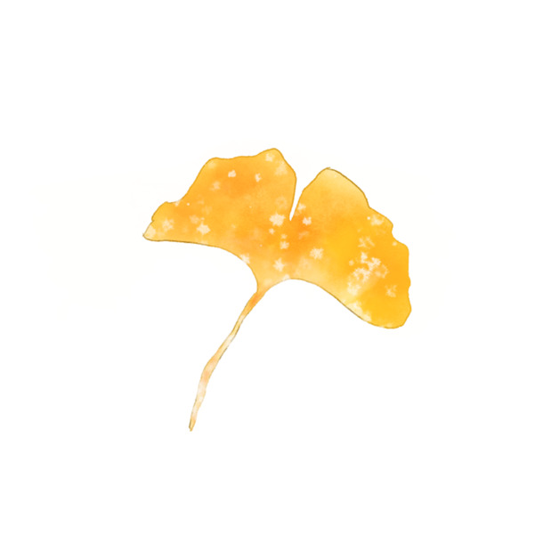 手绘水彩银杏花撒盐效果PNG透明图&动植物PSD素材免费下载