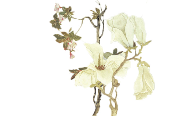 装饰花PNG透明素材，高清花瓣漂浮元素，免费下载