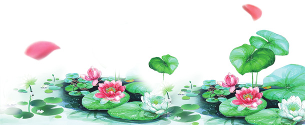 夏天手绘水彩荷花，高清PNG透明插画，动植物元素PSD设计素材下载