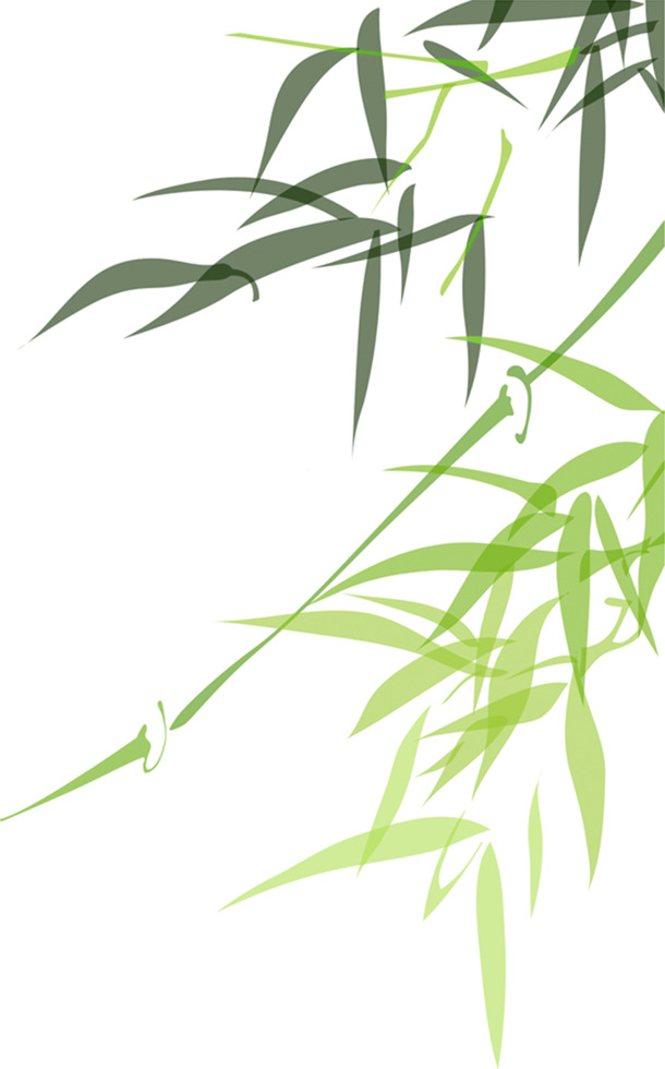 绿色清新手绘竹叶PNG透明图，端午节节日元素，高清设计素材免费下载