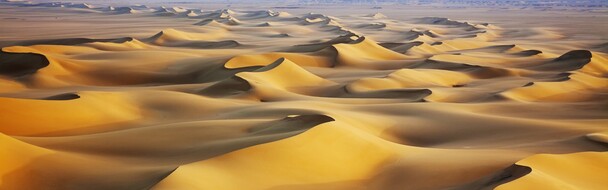 黄色沙丘美景PNG背景，高清透明图片，摄影风景设计素材下载