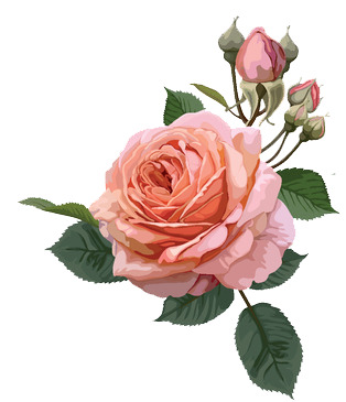 唯美手绘花卉PNG透明图，高清节日元素，情人节设计素材下载