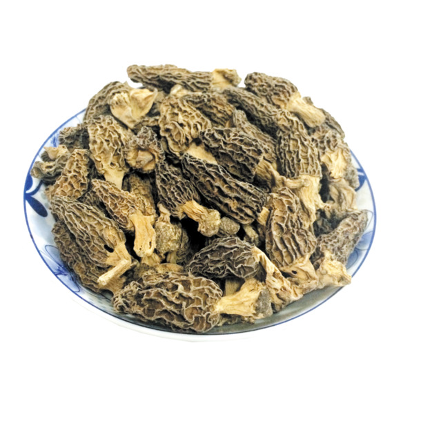 羊肚菌药材补品，滋补养生高清PNG透明图片，动植物元素植物PSD设计素材下载