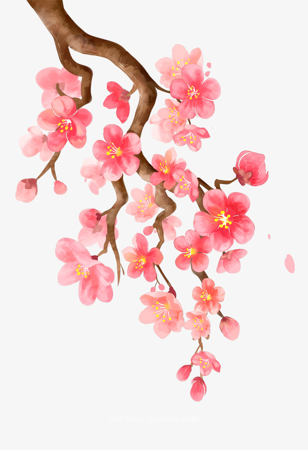 粉色桃花PNG透明图片，高清手绘卡通元素设计素材下载