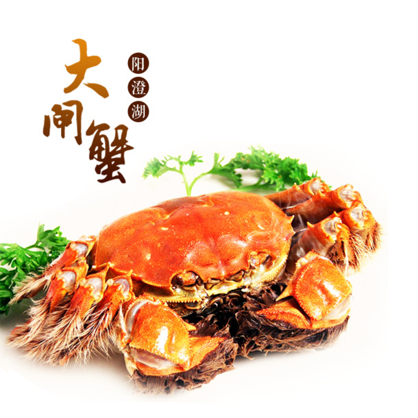 淘宝天猫大闸蟹河蟹PNG透明图片，高清主图装饰素材，动物设计元素下载