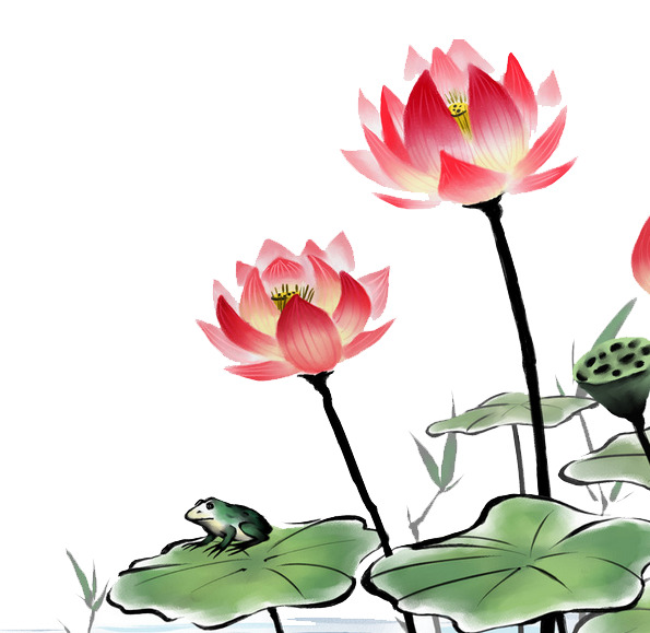 荷花PNG透明图，高清装饰元素与PSD设计素材下载