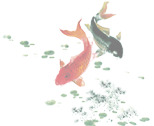 水墨画中国风鲤鱼，毛笔字高清PNG透明图片，动物装饰元素设计素材下载