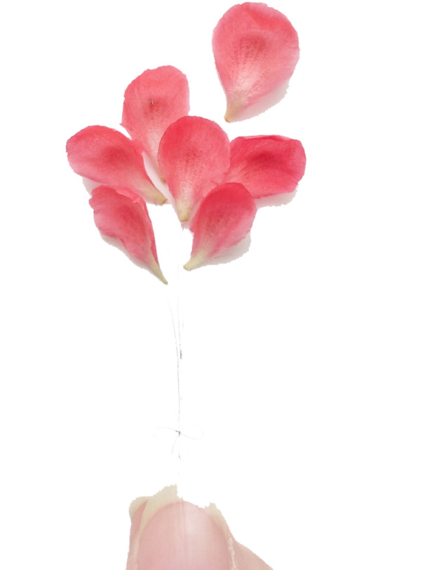 花非花谢，满天花骨朵PNG透明素材，高清花瓣漂浮元素设计下载