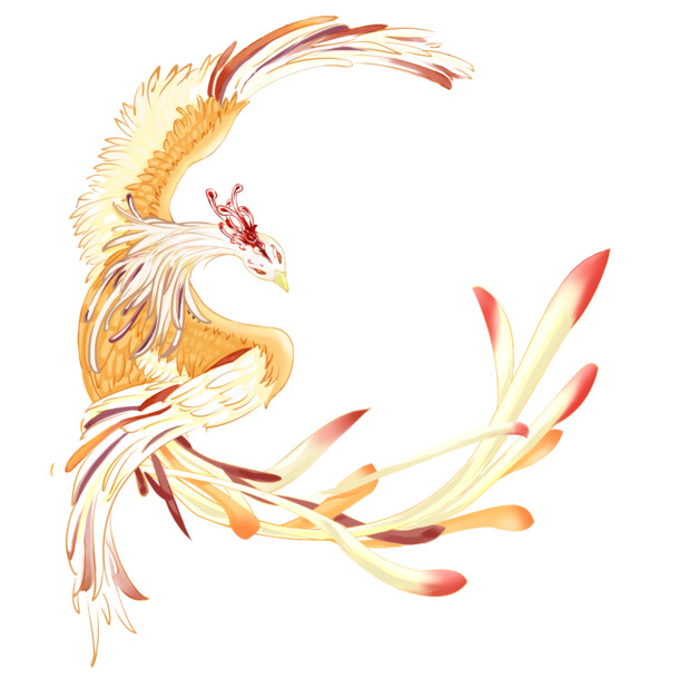 手绘凤凰插画，中国风高清PNG透明图片，PSD设计素材，一键下载