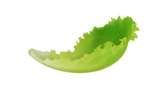 矢量绿色蔬菜生菜高清PNG透明图片，叶子生菜叶素材，PSD设计装饰元素下载