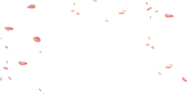花瓣漂浮PNG透明素材，高清设计元素免费下载