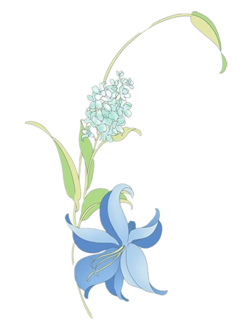 清新风信子手绘PNG透明图片，装饰花纹AI设计素材，高清下载