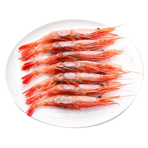 北极甜虾PNG透明图片，高清动物设计素材，一键下载装饰元素