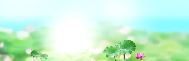 淘宝护肤品，相宜本草荷花清新背景banner，高清PNG透明图片，创意海报设计素材下载
