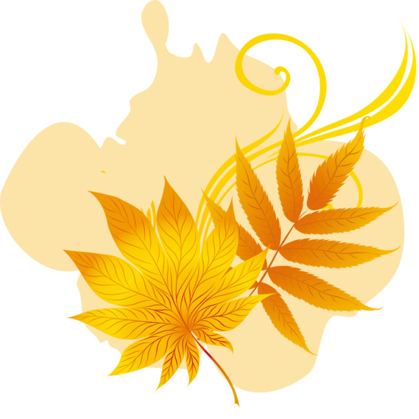 落叶PNG透明图，高清漂浮元素PSD设计素材，一键下载！