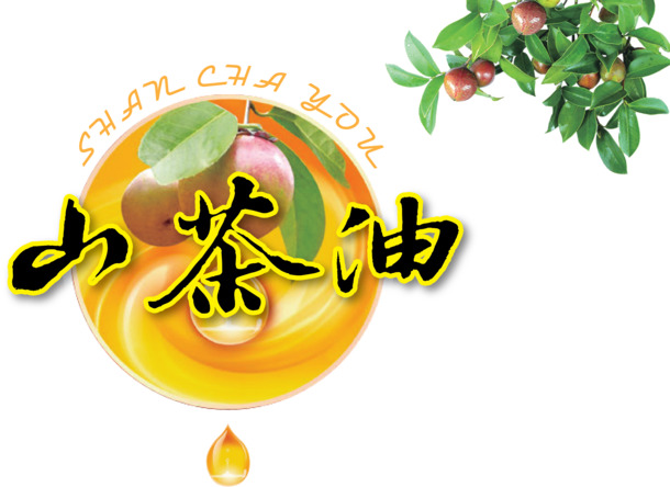 山茶油PNG素材，高清透明免抠元素，设计必备，一键下载