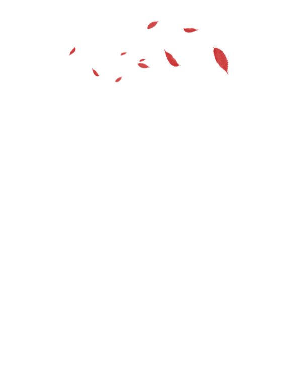 花瓣漂浮PNG透明图片，高清设计素材，一键下载