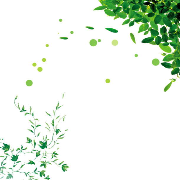 绿色植物藤蔓PNG素材，高清透明图片，花纹装饰元素设计资源下载