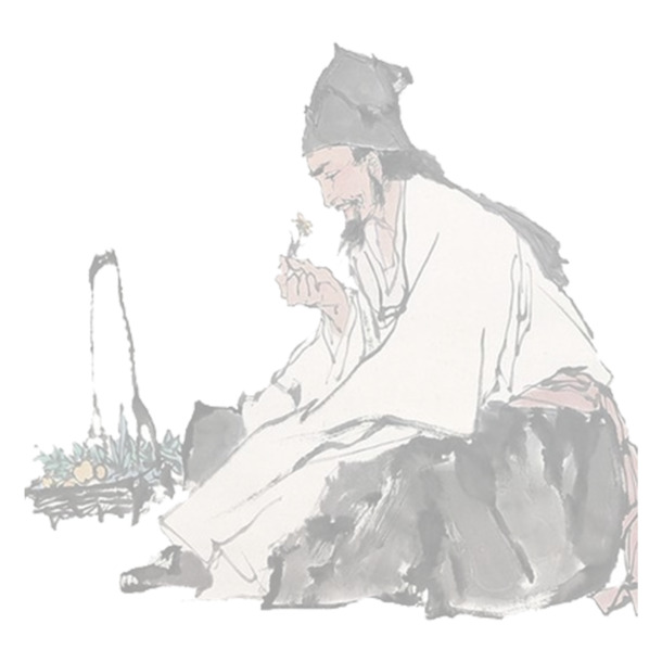 卡通药铺PNG透明图，免抠素材一键下载