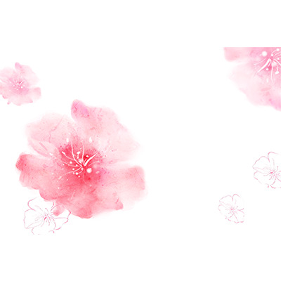 粉色樱花与桃花手绘，高清PNG透明图片及PSD设计素材免费下载