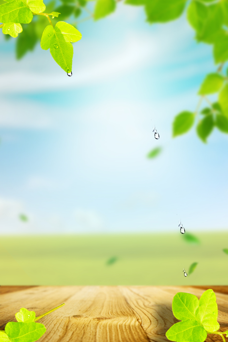 绿色自然食物海报背景，高清JPG图片素材，创意另类设计免费下载