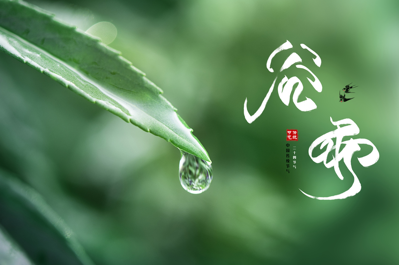 绿色简约水滴谷雨背景，高清JPG图片，创意另类设计素材下载