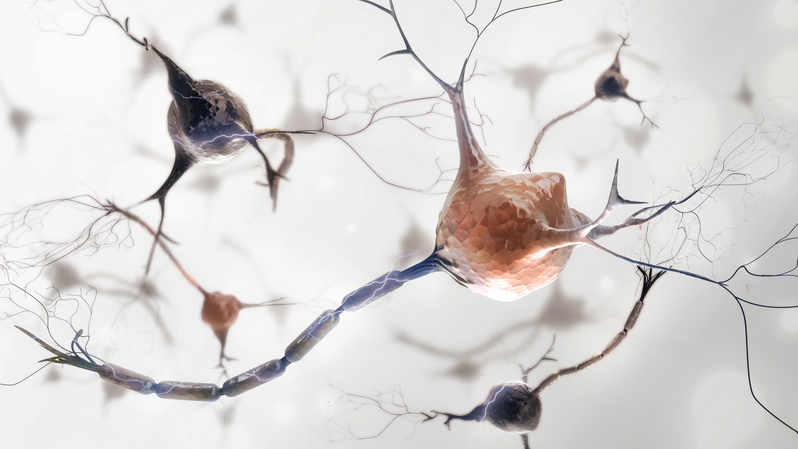 生物微观世界探索，人体细胞与细菌高清JPG图片素材下载