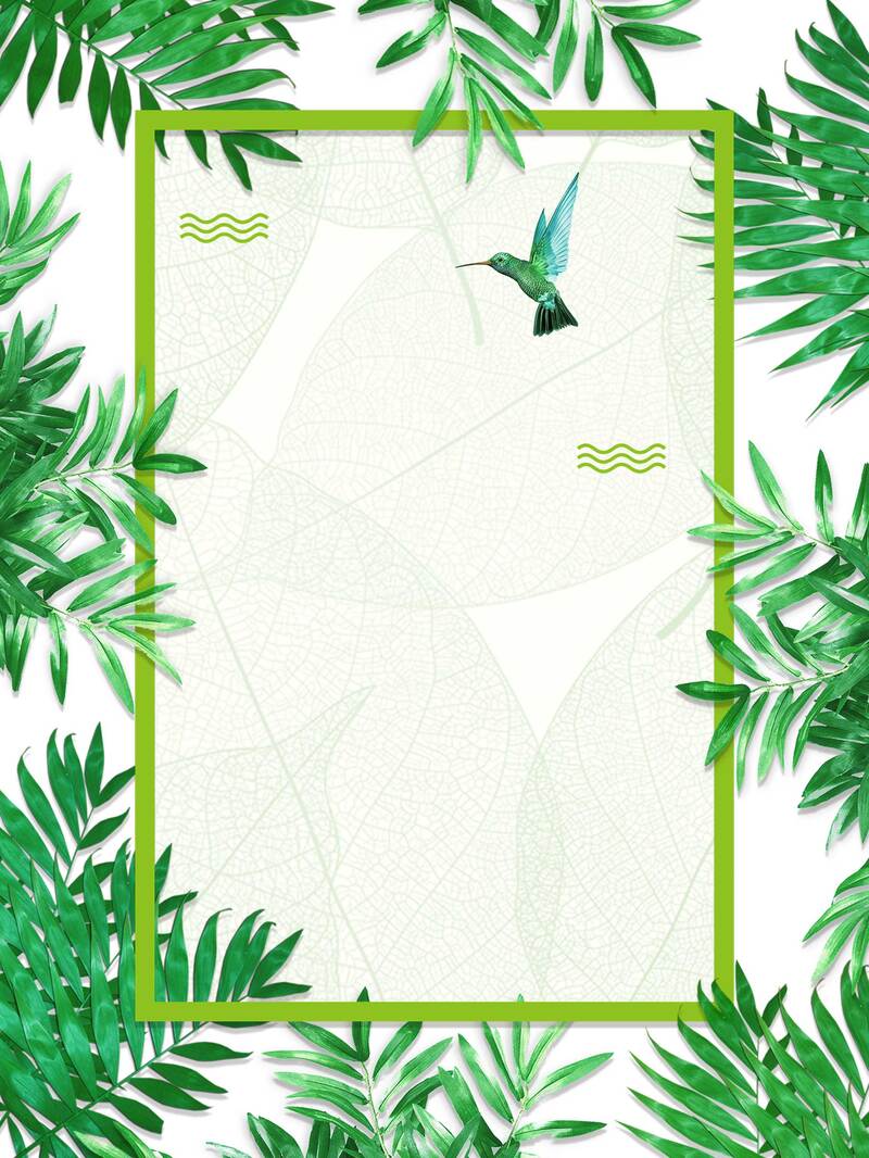 立春节气绿色植物背景高清JPG，创意设计素材下载