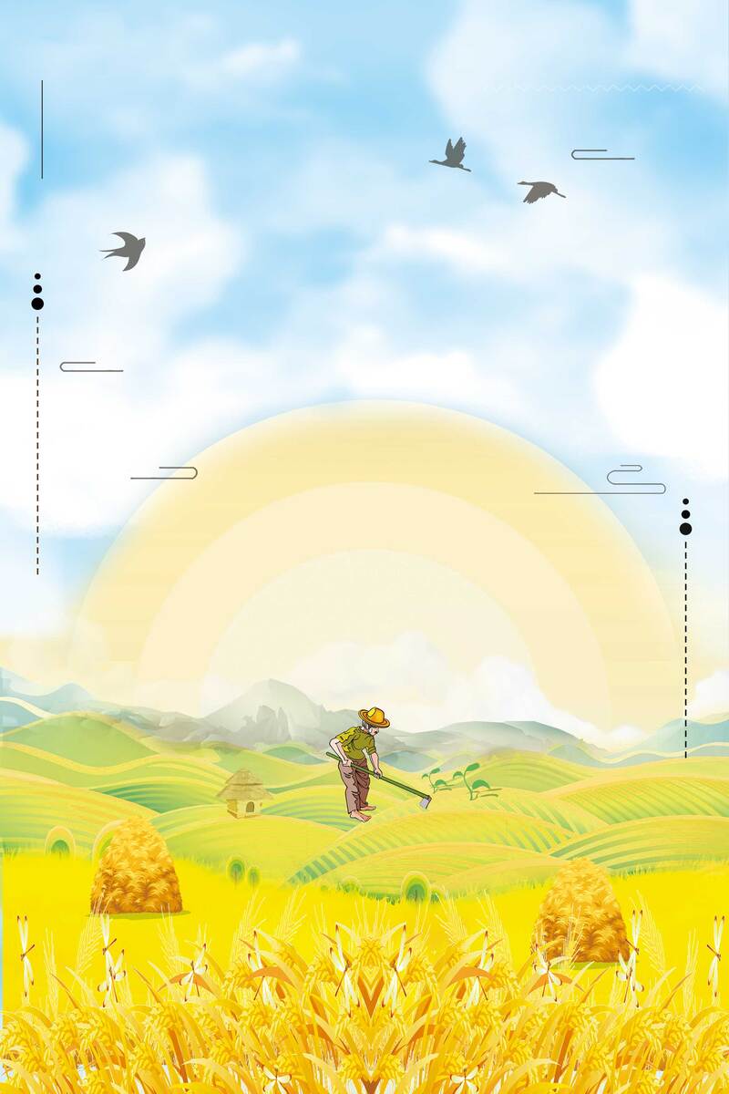 二十四节气芒种，传统节日背景高清JPG图片素材下载（另类/创意设计）
