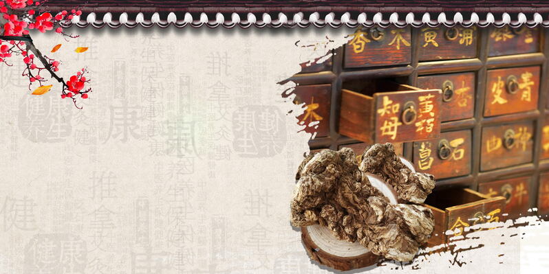 中医疗法养生设计素材，中药养生高清JPG图片，另类创意风格，免费下载