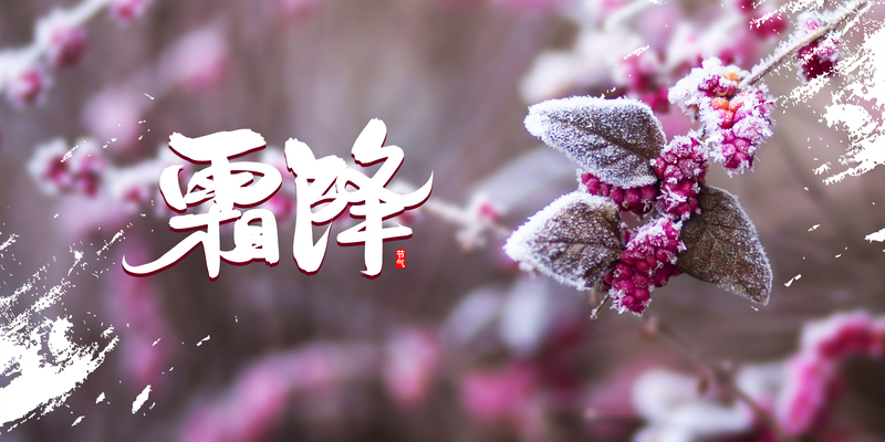 霜降主题霜花笔刷背景图，高清JPG素材，创意另类设计下载