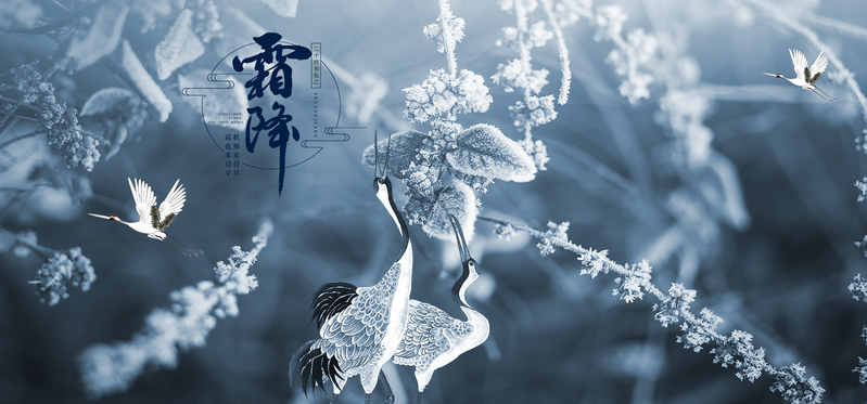 霜降节气清新灰色banner，高清JPG图片设计素材，另类风格免费下载