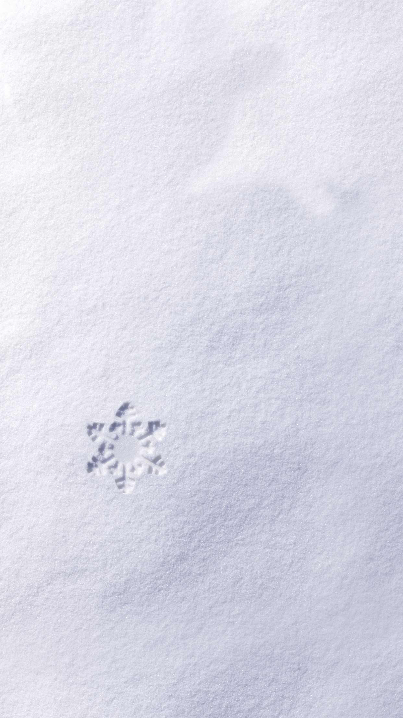 雪地H5背景图片，另类高清JPG素材免费下载