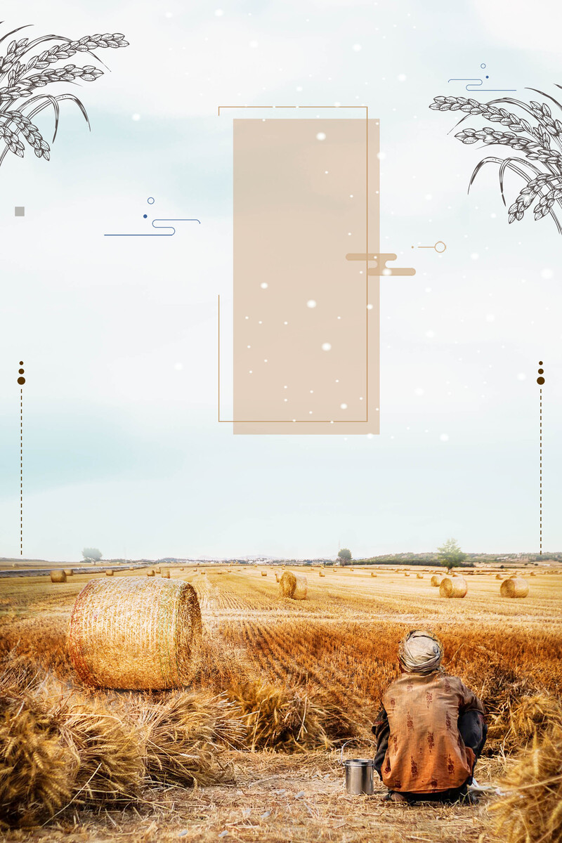 五谷杂粮丰收盛景，稻米小麦海报背景高清JPG，创意图片素材下载